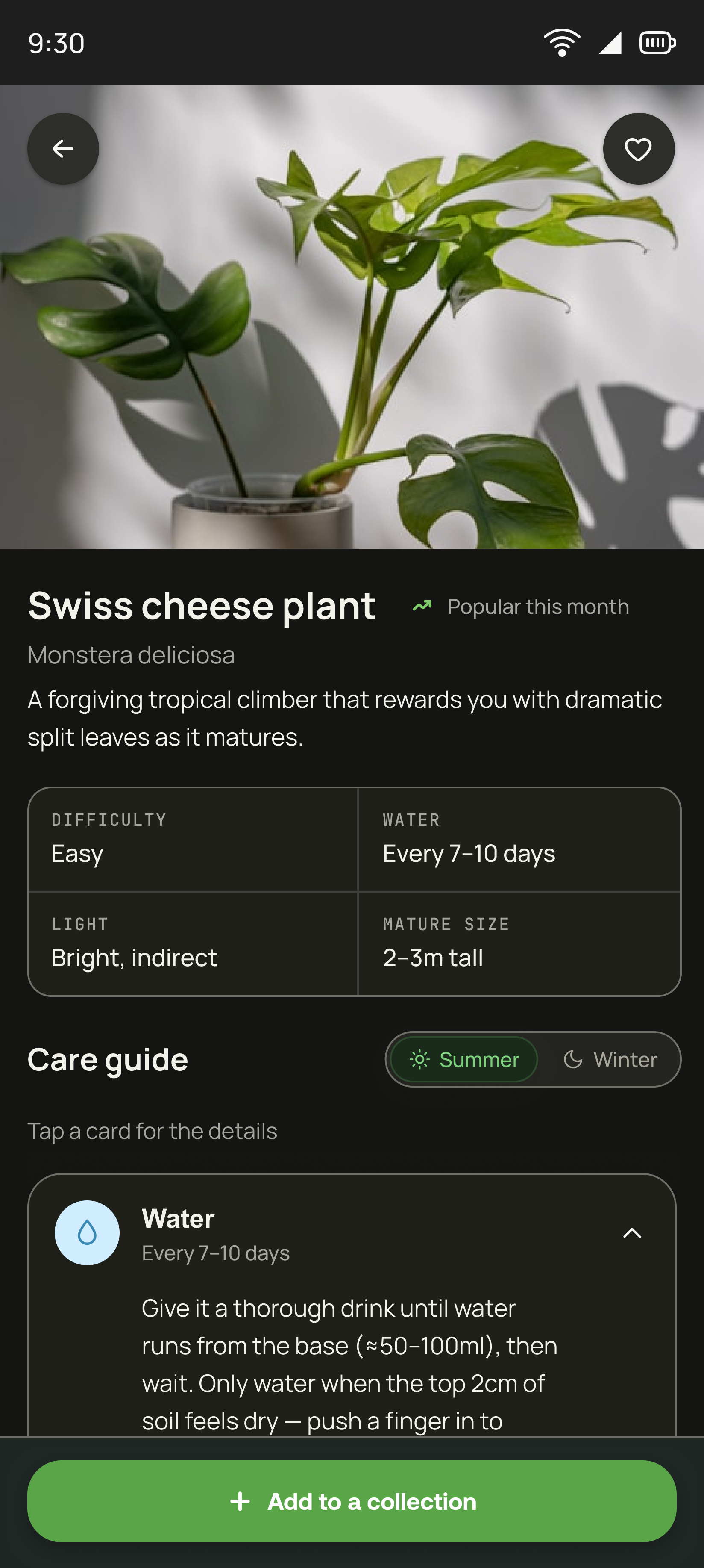 Swiss cheese plant detail screen in dark theme: hero photo, difficulty, water, light and mature size, then a summer or winter care guide and Add to a collection