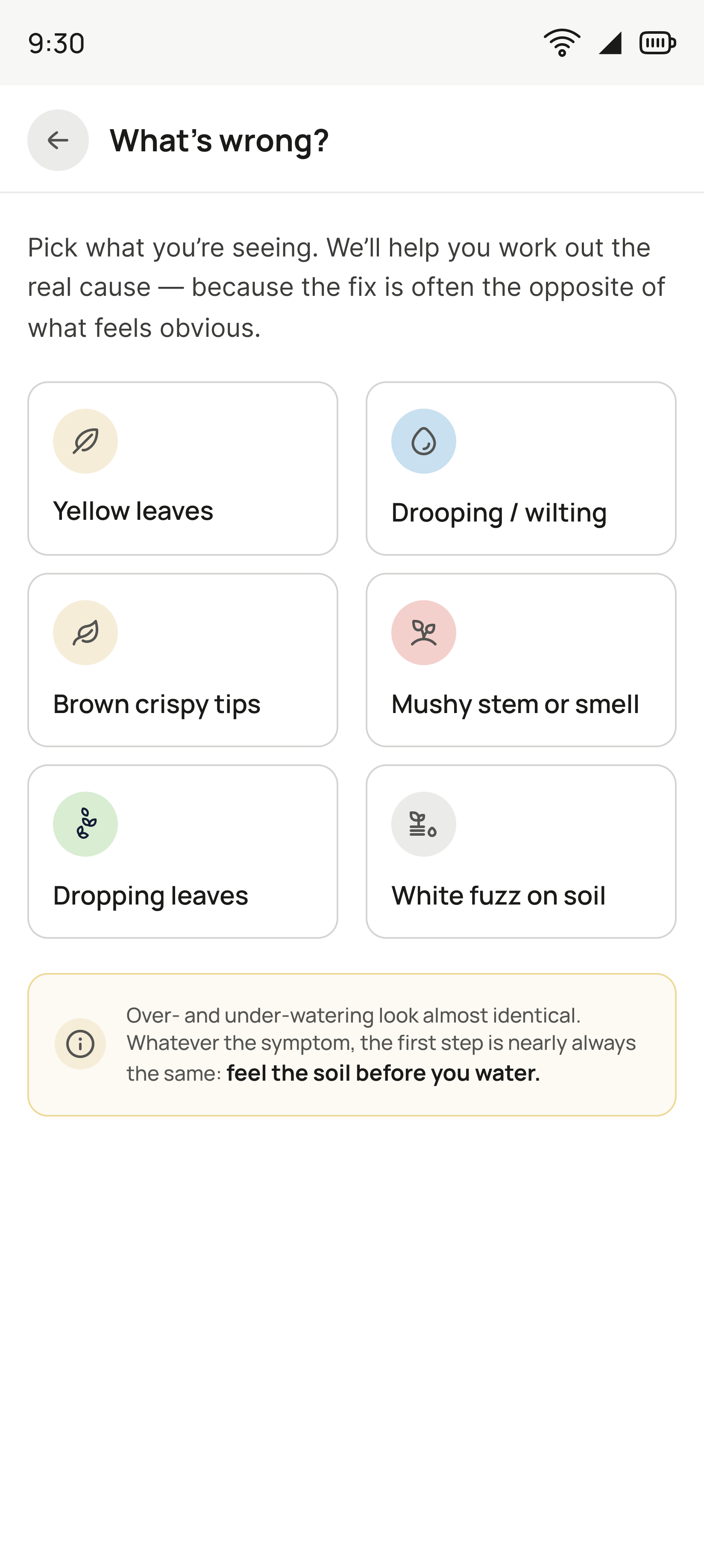 What's wrong? screen in dark theme: pick what you are seeing, with six symptom tiles for yellow leaves, drooping or wilting, brown crispy tips, mushy stem or smell, dropping leaves and white fuzz on soil, then a note that over- and under-watering look almost identical so the first step is to feel the soil before you water